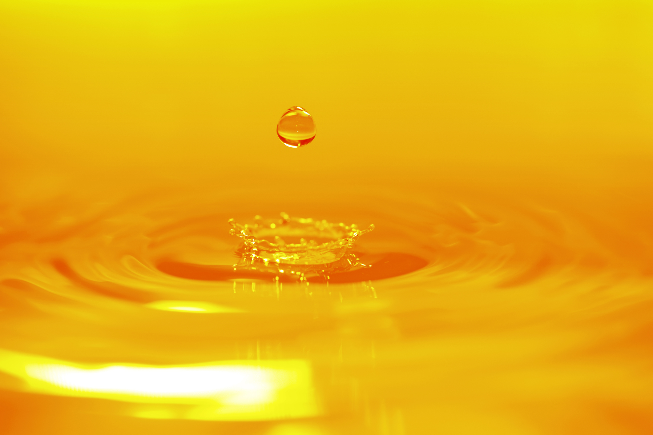 Used Cooking Oil is the Future for Fueling Passenger Airplanes