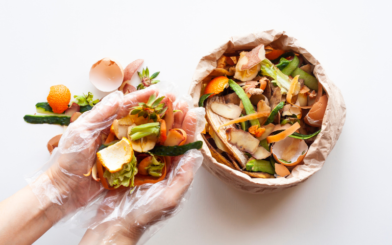 What is the Food Recovery Hierarchy